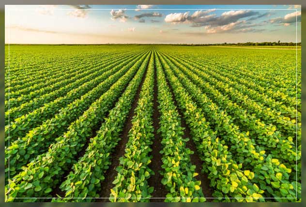 Precision agriculture 17