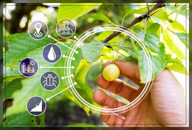 Smart agriculture 12
