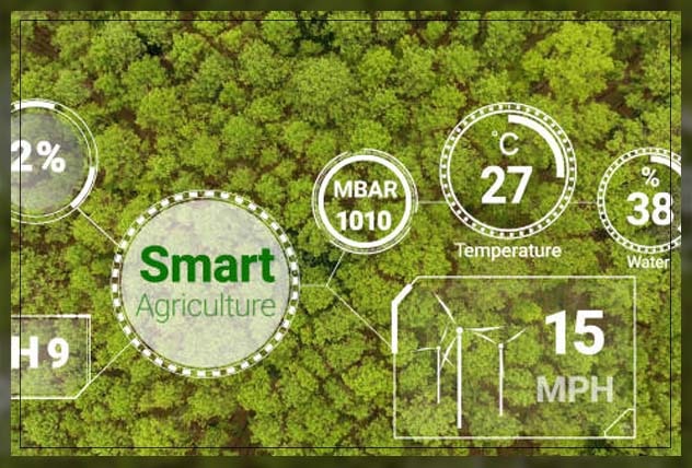 Smart agriculture 13