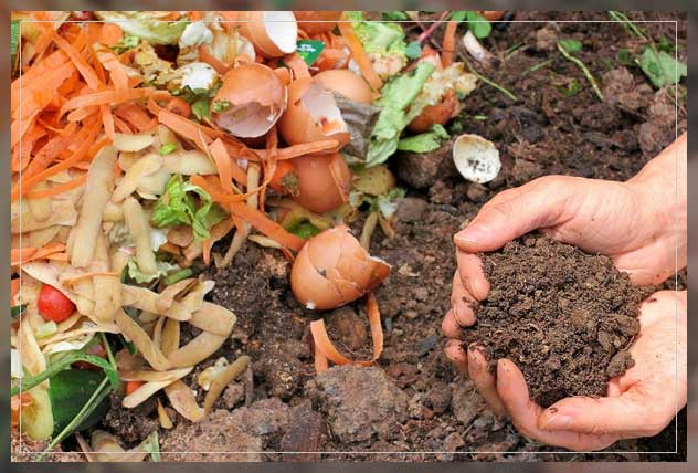 composting guide