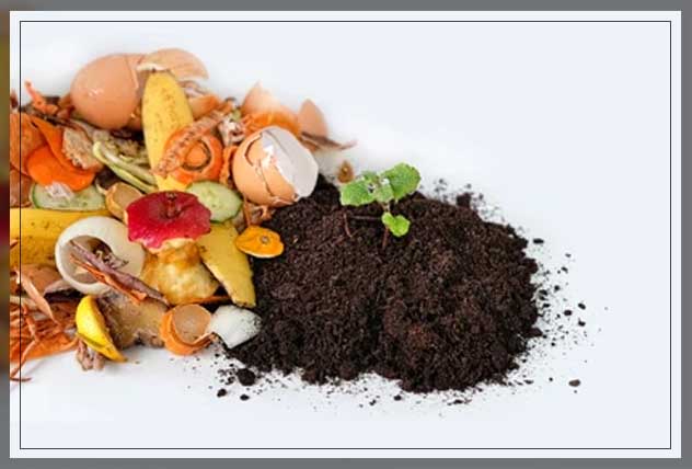 how composting makes an impact