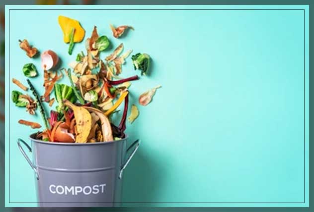 the many benefits of composting
