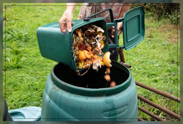 doing backyard composting