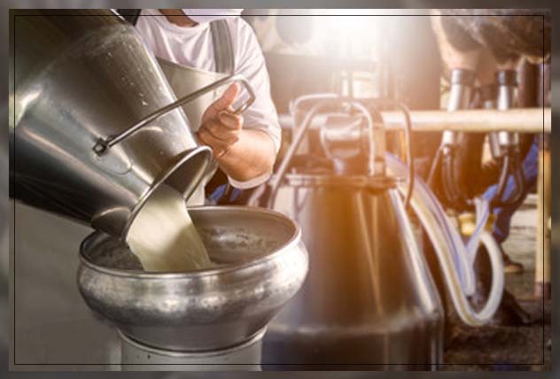 getting the best quality milk