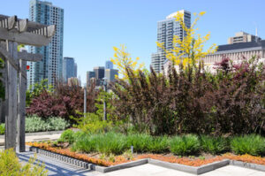 ample ways to utilize green roofs