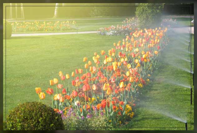 irrigation system importance on a flower land