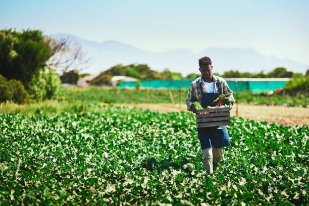 resiliant crop varities