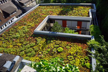 Know all about green roofing