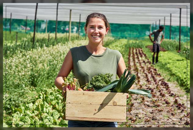 Organic farming 11