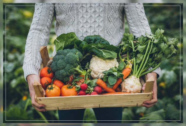 Organic farming 13