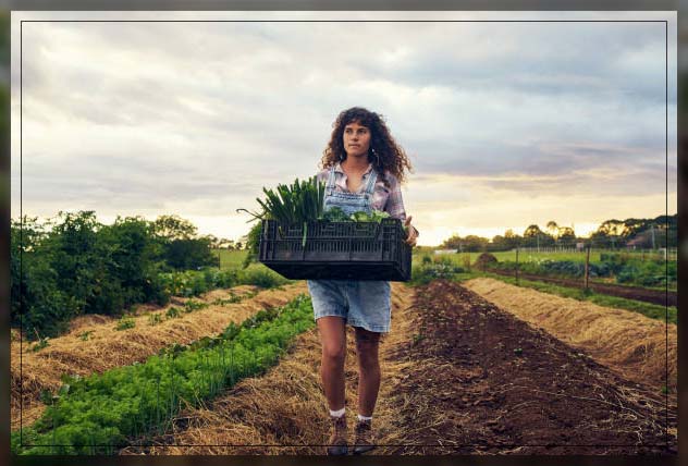 Organic farming 19