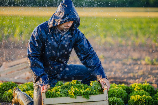 Rainwater Harvesting 4