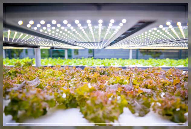 carbon negative farming 4