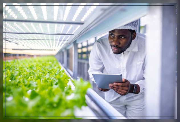 controlled environment agriculture 2