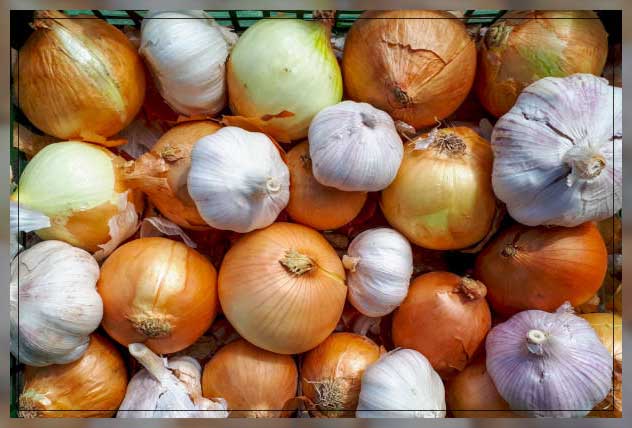 onion and garlic