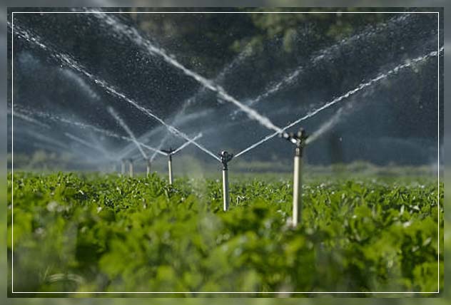 irrigation