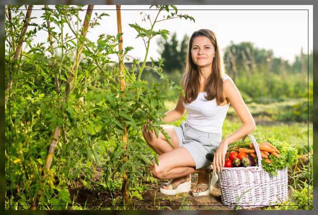 make backyards greener