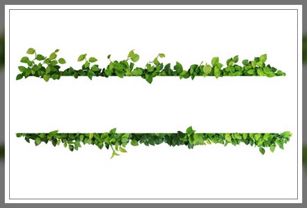 adapting wide garden spaces