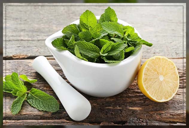 making use of basil