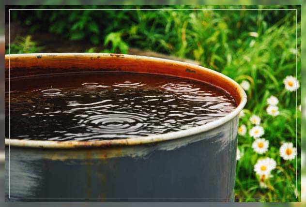 save water rain in barrel