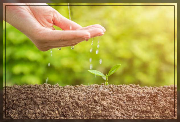 conserving soil