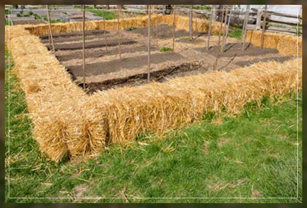 build your straw bale garden