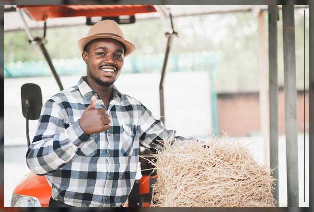 how to make the most of your straw bale garden