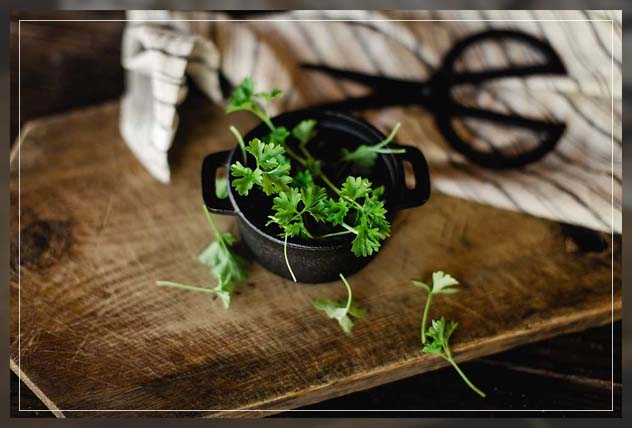 enjoying vegetables of various kinds