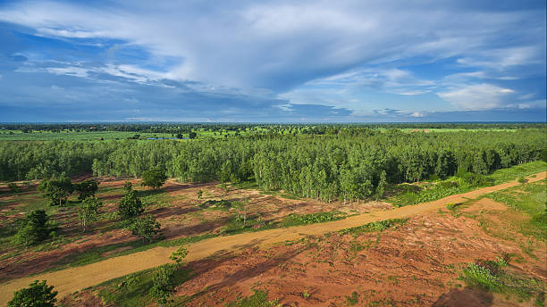 traditional farming