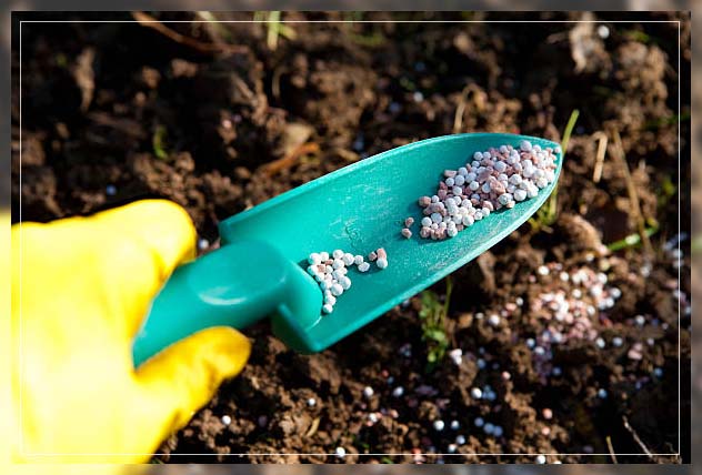 use of fertilizers