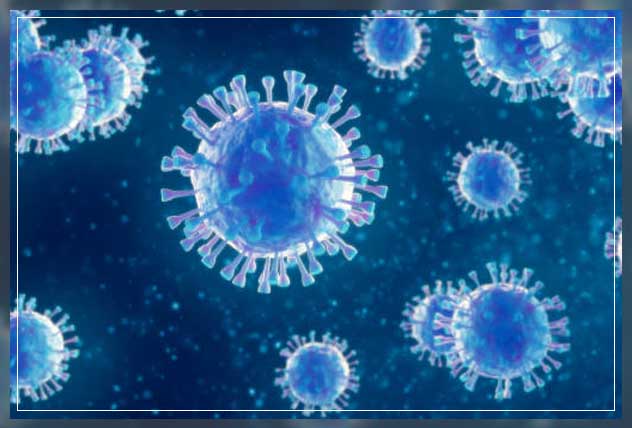 viruses
