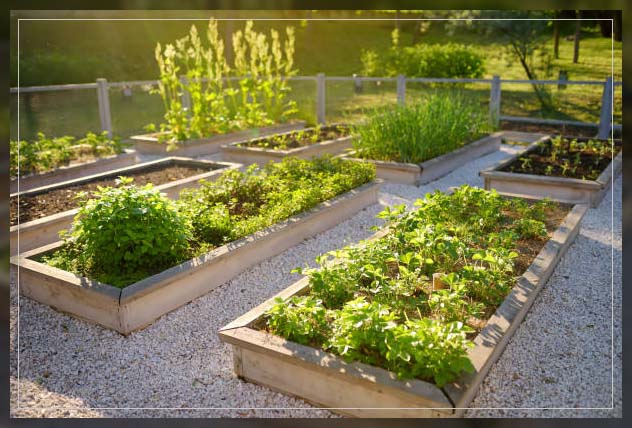 what are water gardening beds