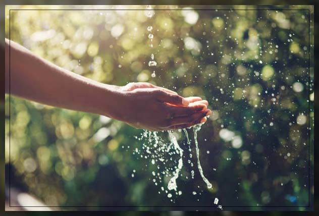 save water in garden