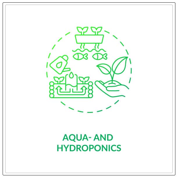 Aquaponic farming 18