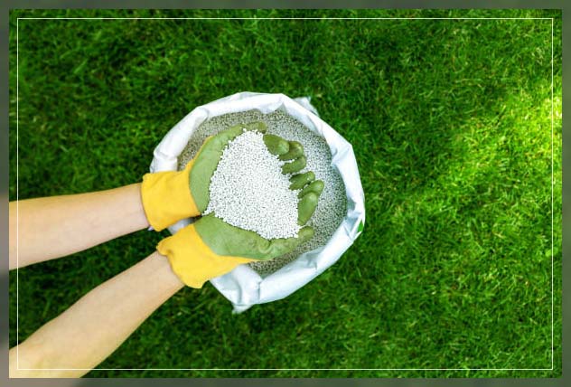 Chemical fertilizers 11