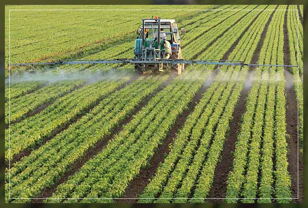 Chemical fertilizers 14