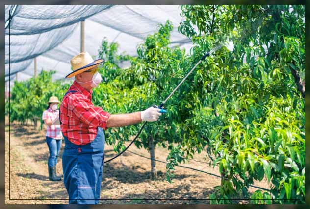 Chemical fertilizers 17