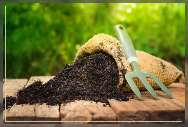 Organic fertilizer 12