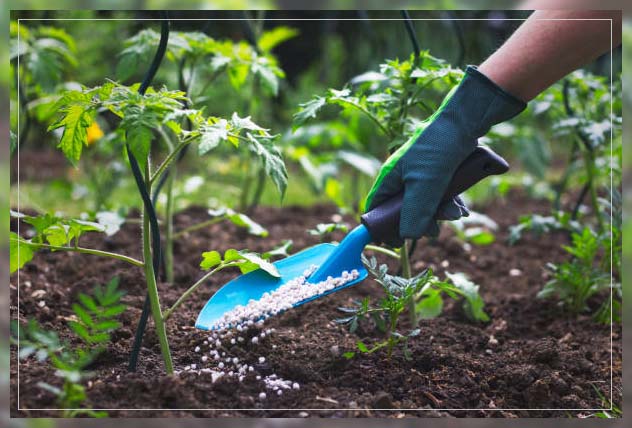 Organic fertilizer 13