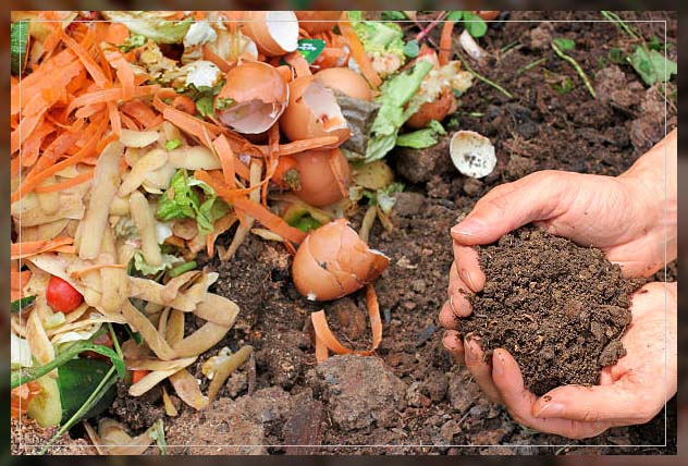 Organic fertilizer 14