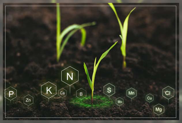 preparation of bone meal fertilizer