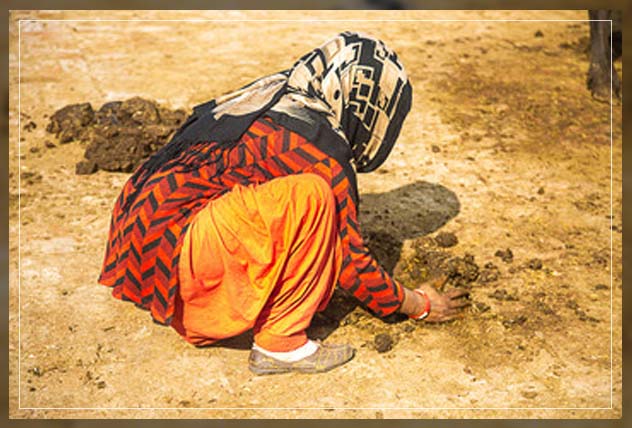 impacting the soil in many ways