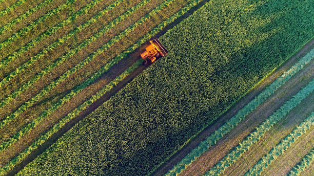 crop rotation 1