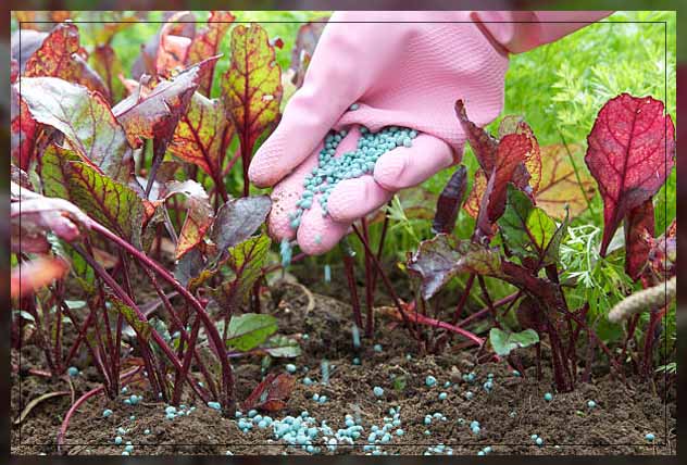 specific fertilizer application to reduce climate change