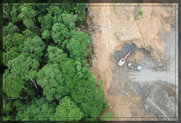 no deforestation due to fertilizer use