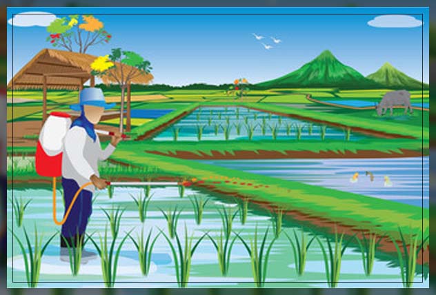 using fish fertilizer