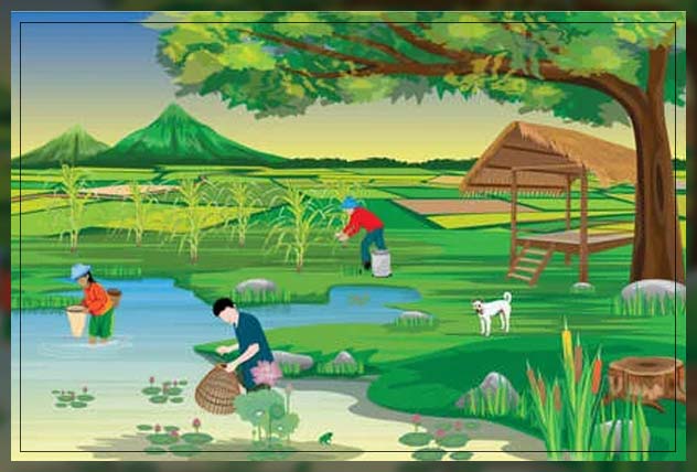 benefits of using fish fertilizer