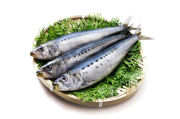 using fish fertilizers