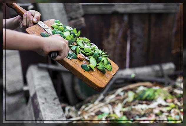 best kinds of homemade organic fertilizer