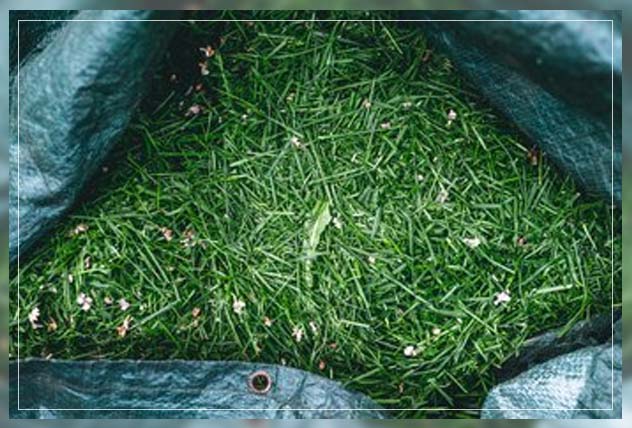 grass clippings usage